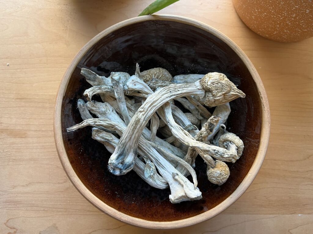 dried mushrooms in a bowl